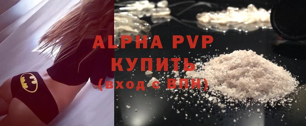 молекула духа Арсеньев