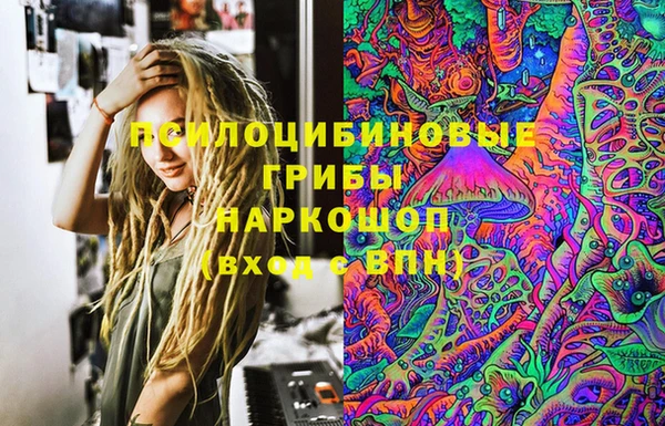 молекула духа Арсеньев