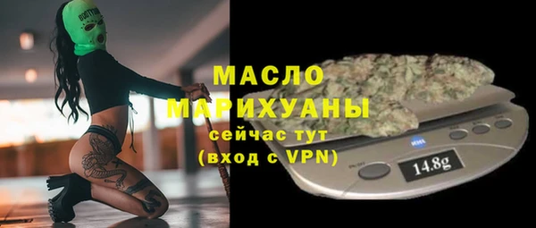 молекула духа Арсеньев