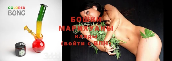 молекула духа Арсеньев