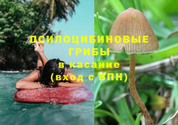 молекула духа Арсеньев