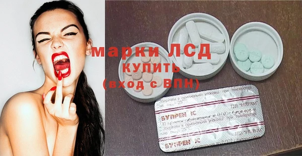 ГАЛЛЮЦИНОГЕННЫЕ ГРИБЫ Осинники