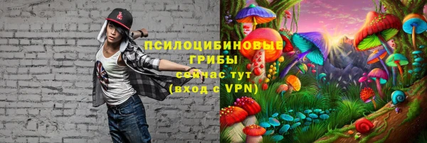 молекула духа Арсеньев