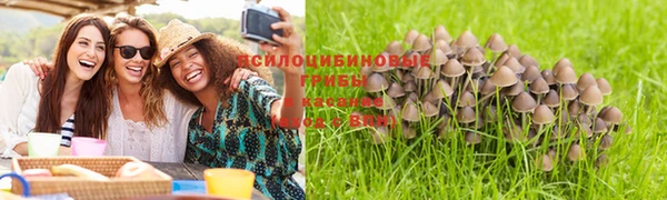 прущая мука Армянск