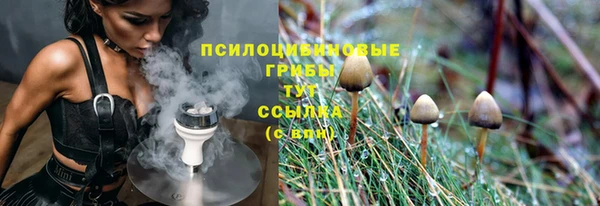 прущая мука Армянск