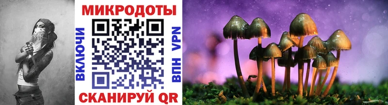 купить закладку  Пущино  Псилоцибиновые грибы Psilocybe 